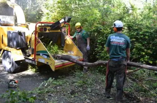 tree services Castleberry